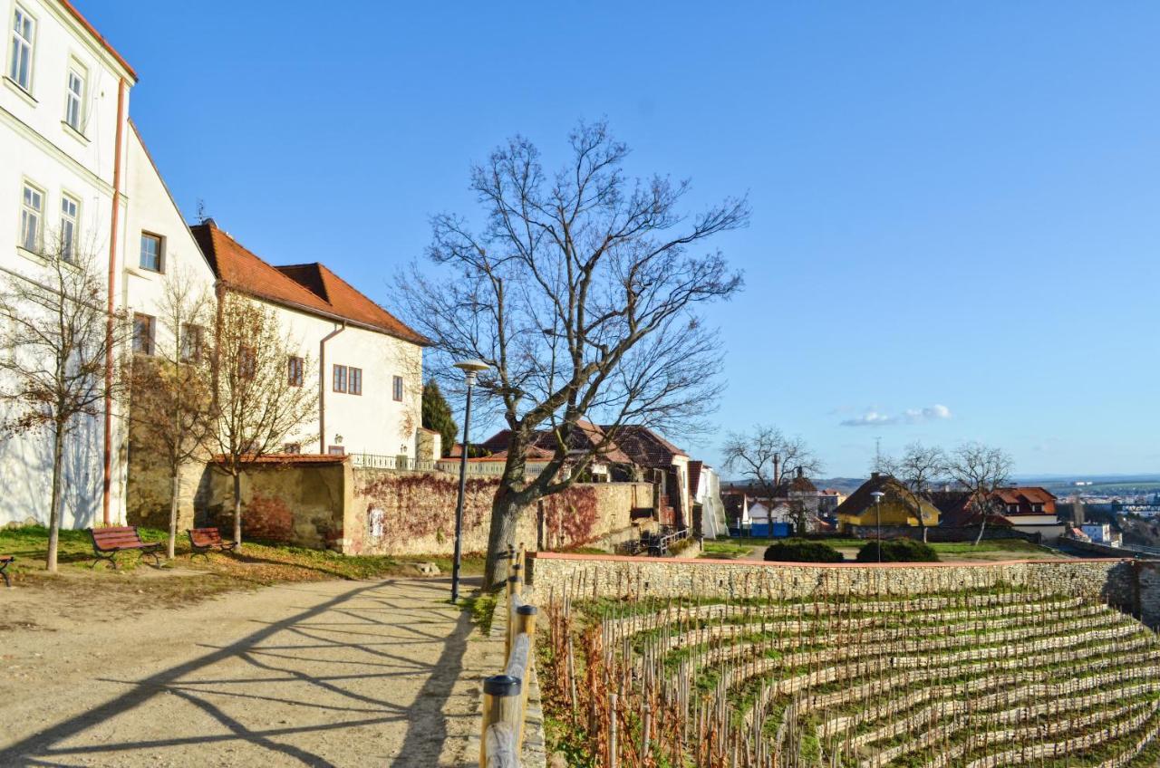 Apartments 3 In The Historic Part Of Znojmo Zewnętrze zdjęcie